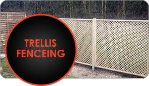 Trellis Fencing